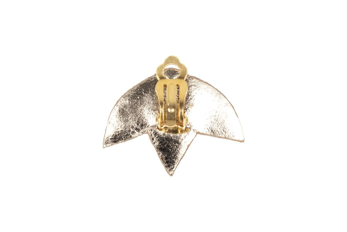 Clips BRAZ Back arrière