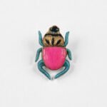 Metallic Blue Legs / Pink Jade stone